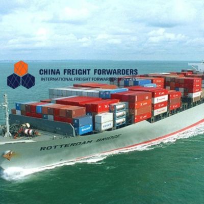 DDU/DDP Fast International Ocean Freight Spediteur von China nach Großbritannien