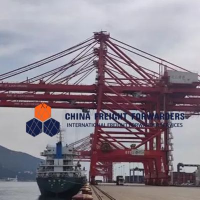 Global Carrier Freight Forwarder Logistik Seefahrt von China nach Großbritannien