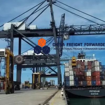 Fast Sea Freight Spediteur Versand voller Container aus China nach Kanada