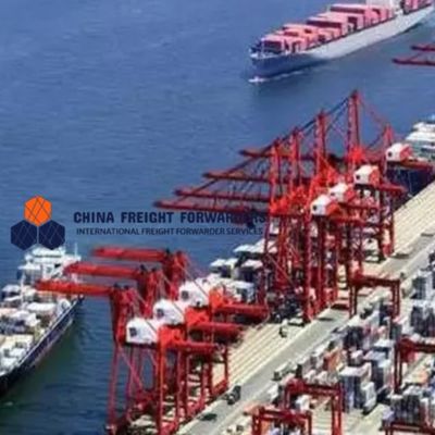 20GP 40GP Internationale Seefracht von China in die USA