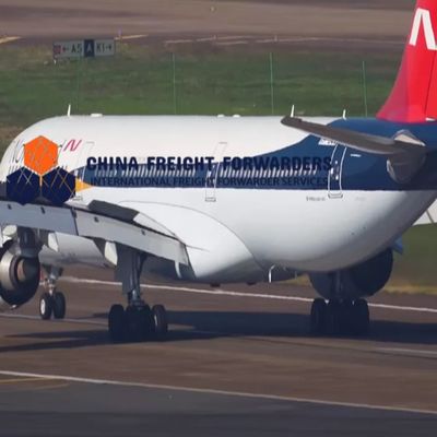 Weltweite Luftfrachtlieferungen kundenspezifischer Express-Kurierdienst aus China