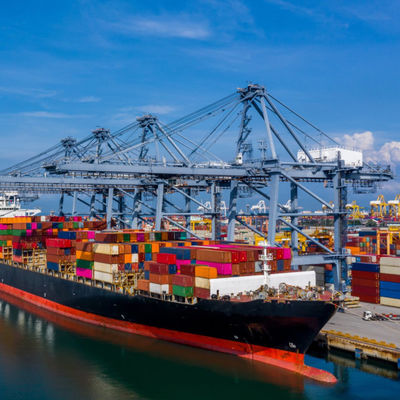 Warenlager Seefracht Spedition Dienst Standard Seefracht Shenzhen China